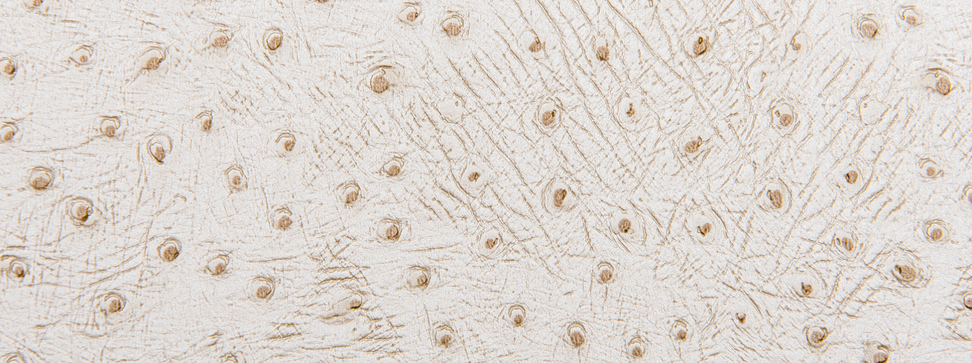 Изображение Rasch African Queen III 751512