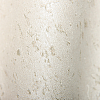 Rasch Curiosity 538311 — картинка №2