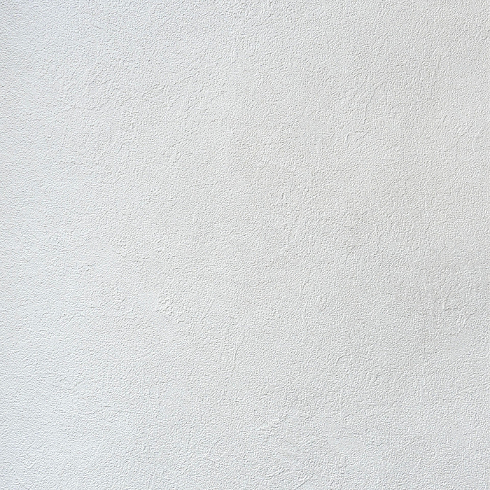 Alessandro Allori Bodega 2404-2 — картинка №1