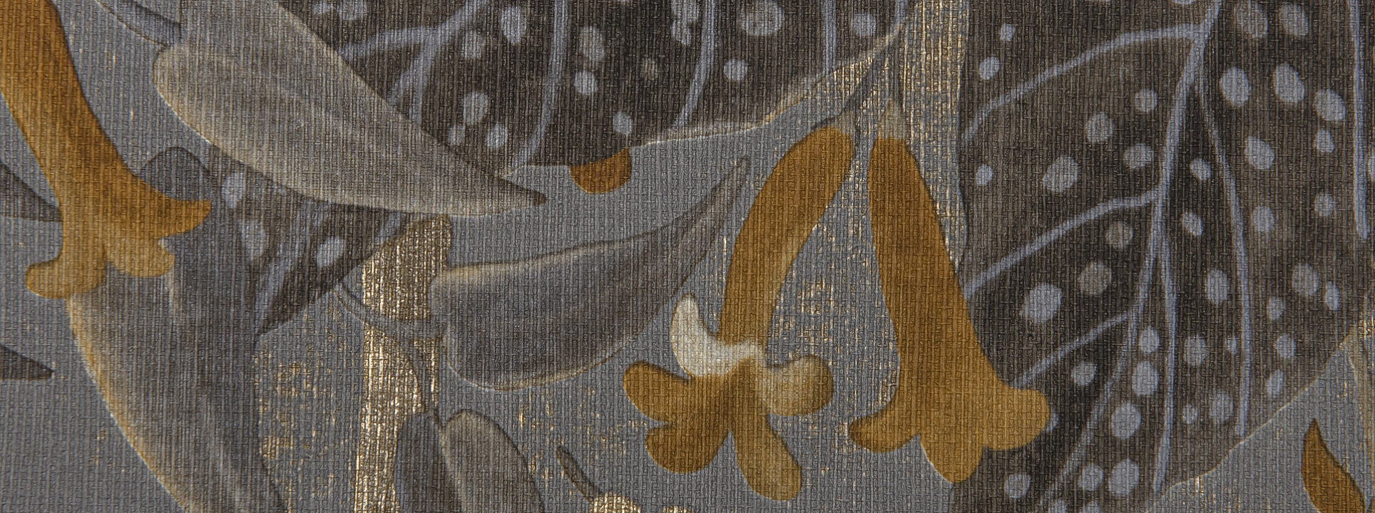 Изображение Rasch Curiosity 538229