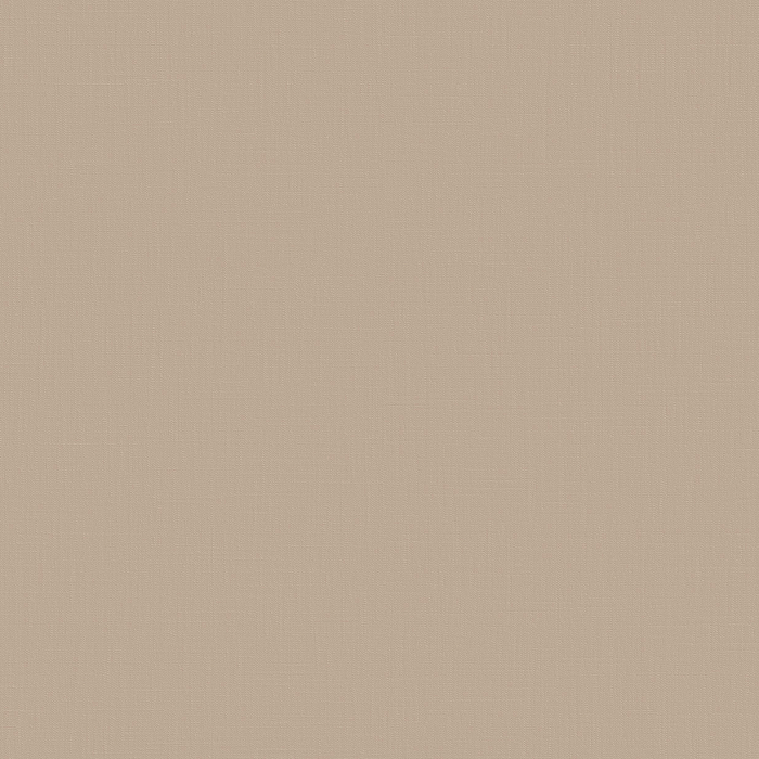 LOYMINA Загадочный лес IMG5 002/3 — картинка №1
