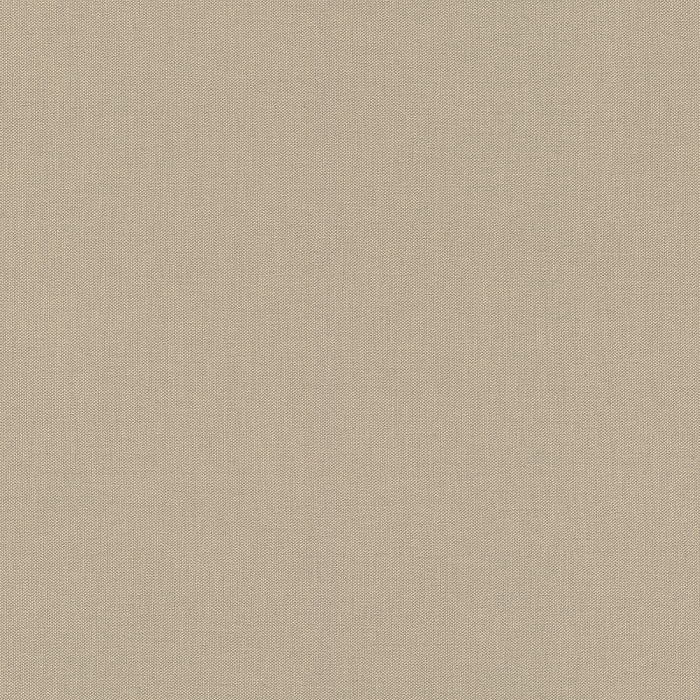 423921 Обои Rasch Аллегретто 0,53 *10,05 м — картинка №1