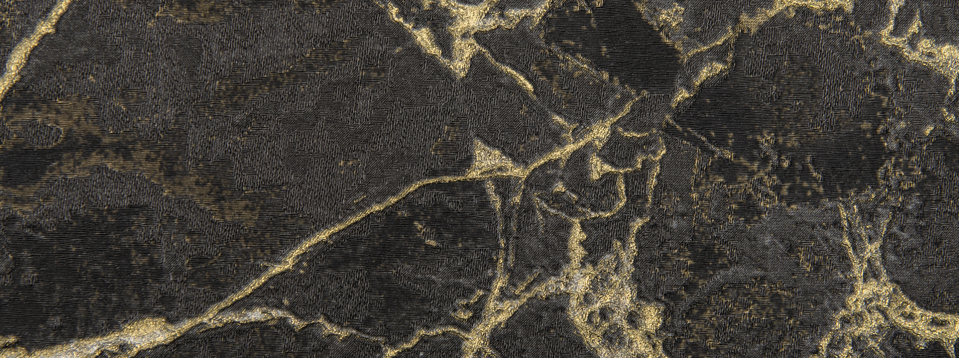 Изображение Zambaiti Philipp Plein 80013