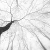 Панно индивидуального размера 51802 — картинка №1
